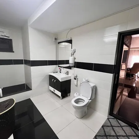 Zona Fabricii Ford Apartment Craiova