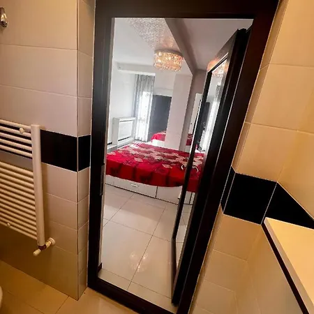 Zona Fabricii Ford Apartment *